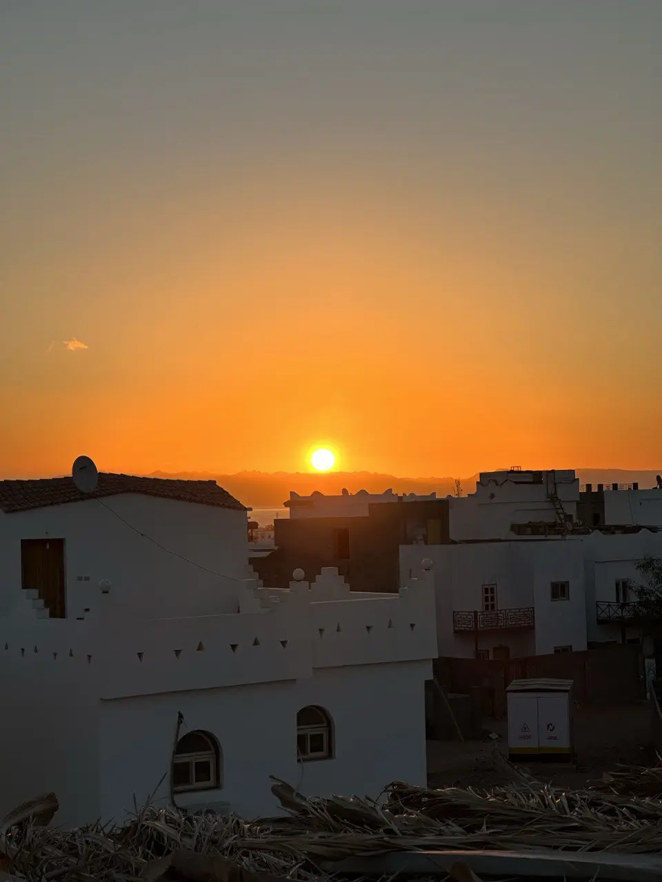 The nature of the Sinai Peninsula